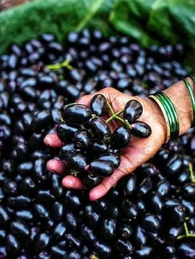 गर्मियों में जामुन खाने के 10 जबरदस्त फायदे