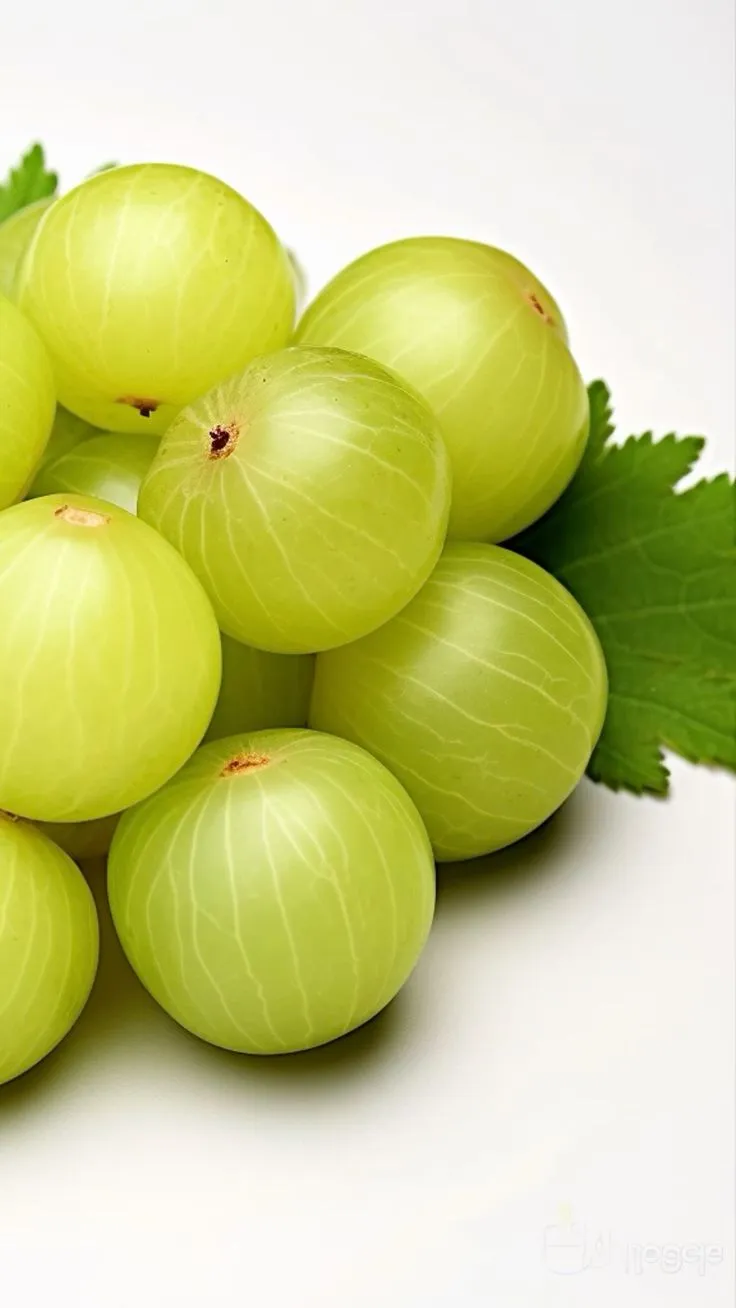5 Benefits of Eating and Drinking Amla Juice : आपके शरीर को भी तंदुरुस्त बनाने के आमला के 5 फायदें