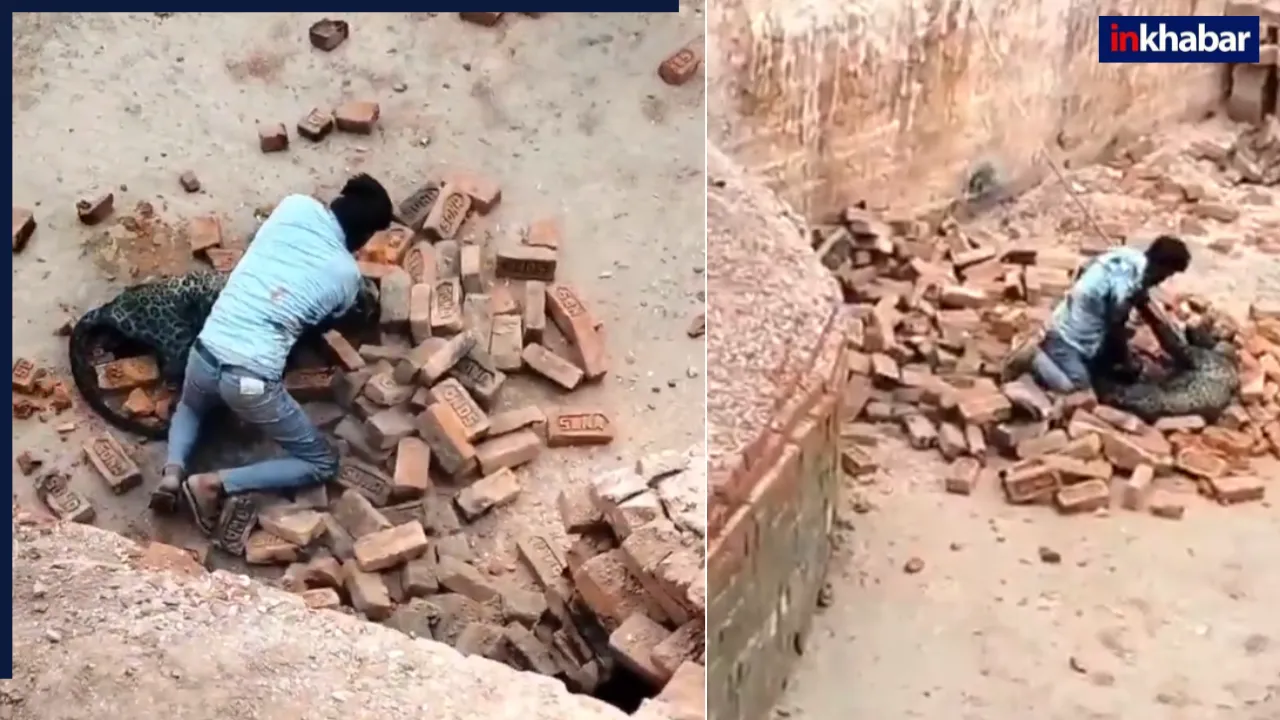 40 किलो की बॉडी 100 किलो का जिगरा…तेंदुए से बिना डरे भिड़ गया शख्स, फिर जो हुआ…Video देख निकल जाएगी रूह
