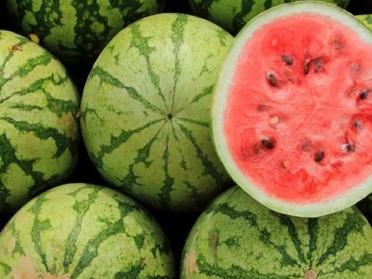Watermelon Benefits: Summer Fruit with Super Hydration Power तरबूज: गर्मी में शीतलता और सेहत का अनमोल खजाना ।