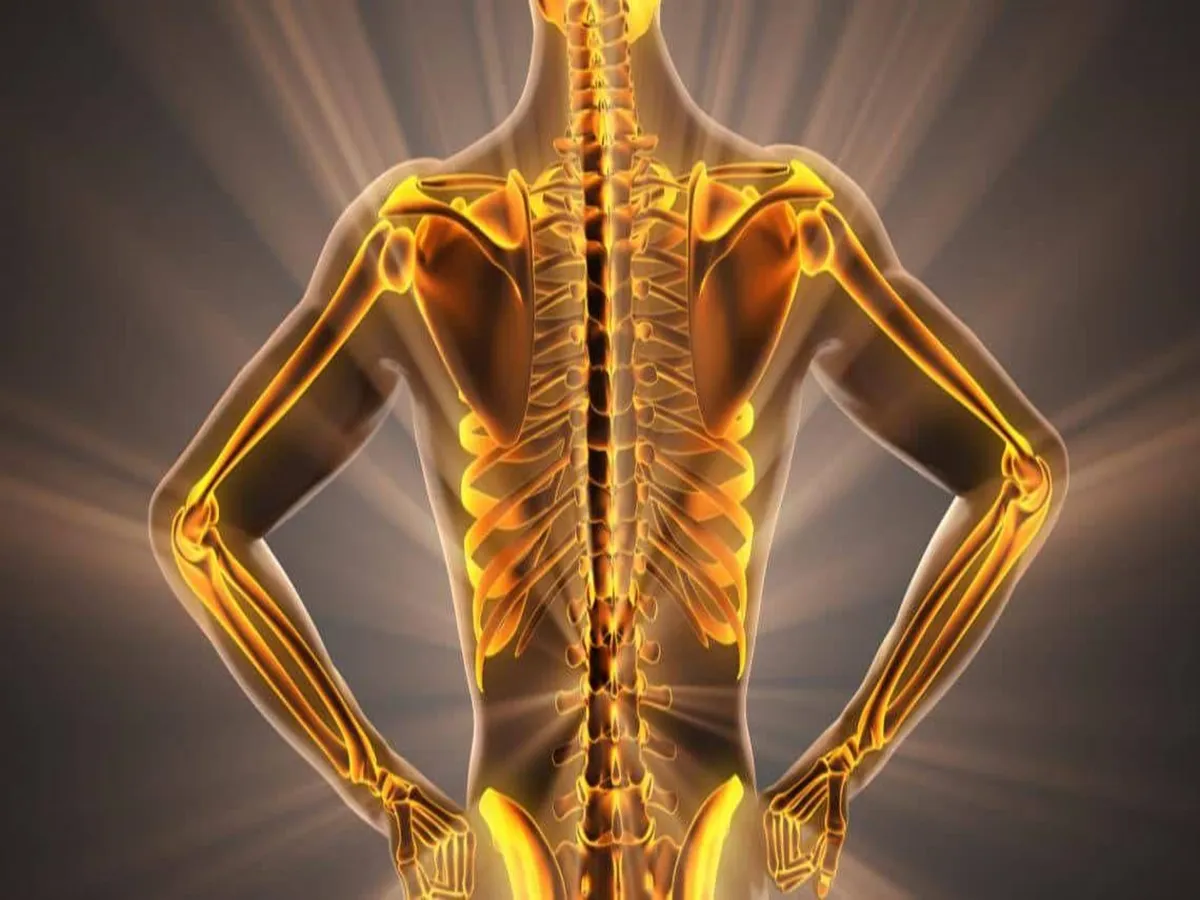 Best Foods for Healthy and Strong Bones: हड्डियों को मजबूत करने वाले घरेलू और प्राकृतिक उपाय|