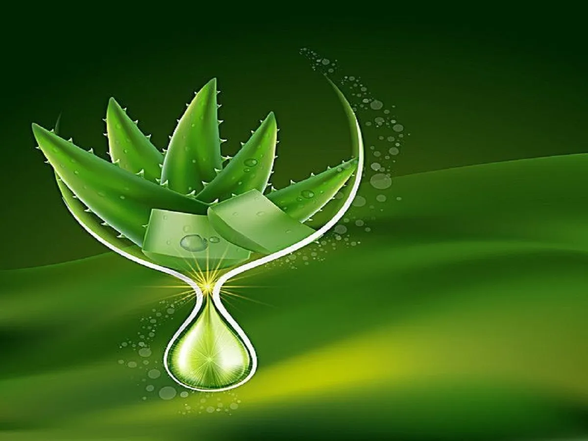 Aloe vera benefits for glowing skin : एलोवेरा से करे Glowing skin त्वचा के लिए है बहुत फ़ायदेमंद