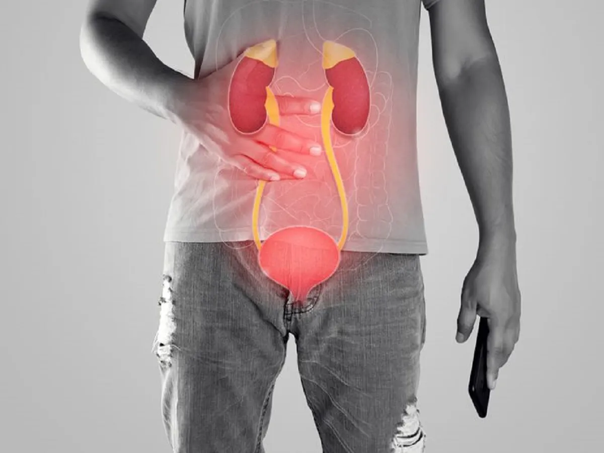 Kidney Disease : आपको भी महसूस हो रहा है ये लक्षण तो हो जाए सावधान, किडनी हो सकती है खराब